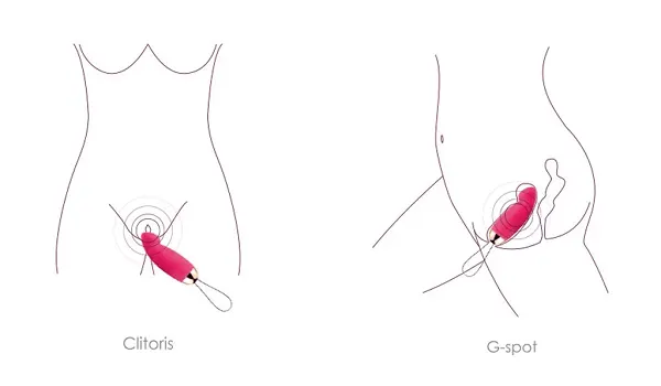 Ergonomic G-Spot Design